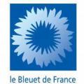 Bleuet de france